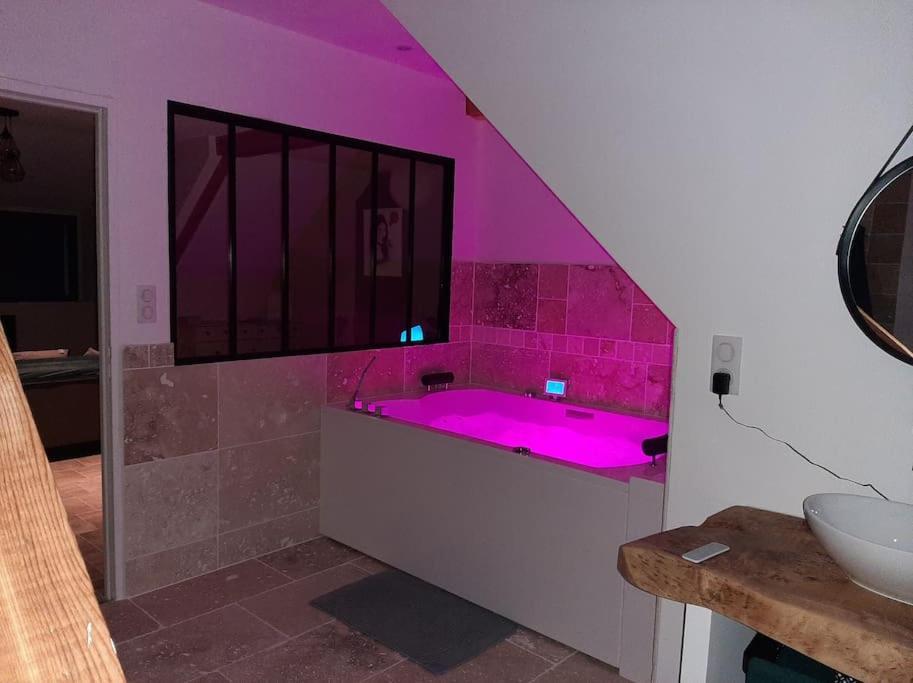 Appartement Chaleureux Avec Jacuzzi Banassac Exteriör bild