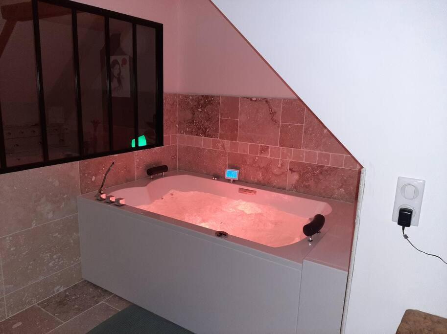 Appartement Chaleureux Avec Jacuzzi Banassac Exteriör bild